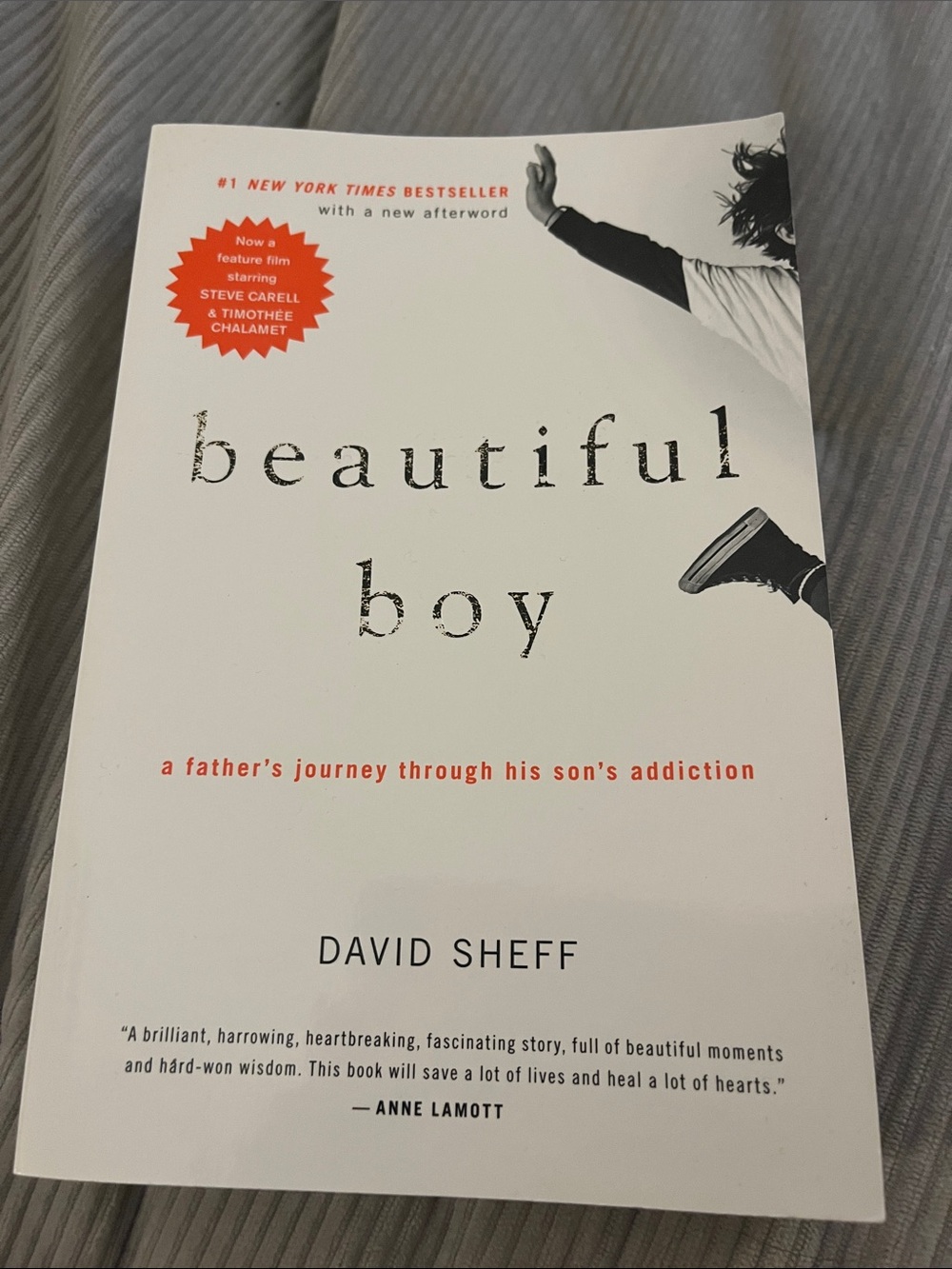 David Sheff Beautiful Boy — White Paperback